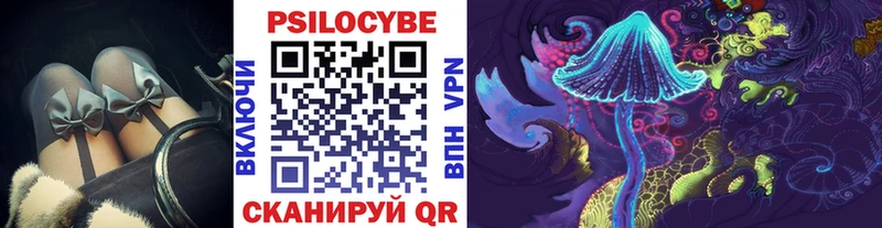 где купить наркоту  Чёрмоз  Псилоцибиновые грибы Psilocybine cubensis 