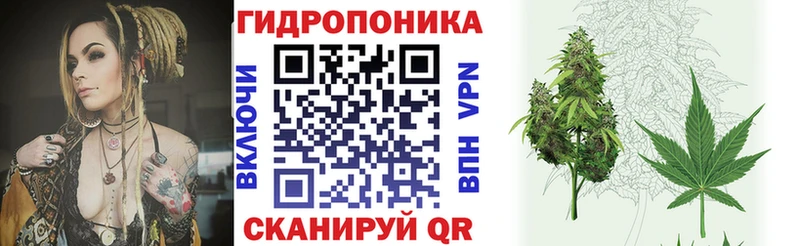 магазин  наркотиков  Чёрмоз  МАРИХУАНА планчик 